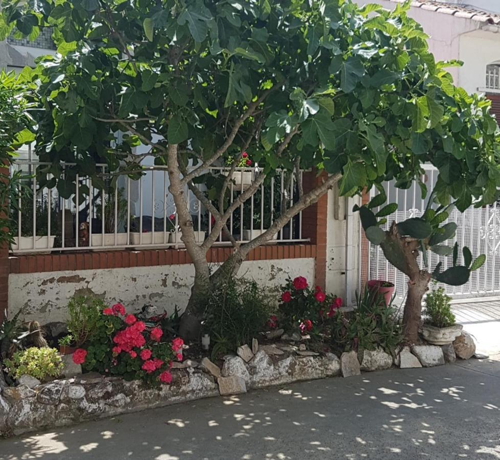 הוילה Maison De Vacances A Empuriabrava "Oasis" מראה חיצוני תמונה